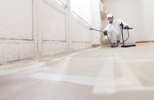24/7 Emergency Basement Mold Remediation experts in Milton, NY